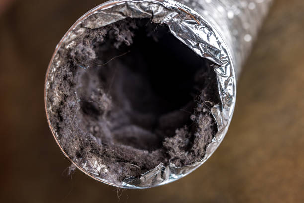 Best Home Air Vent Cleaning  in Evergreen, AL