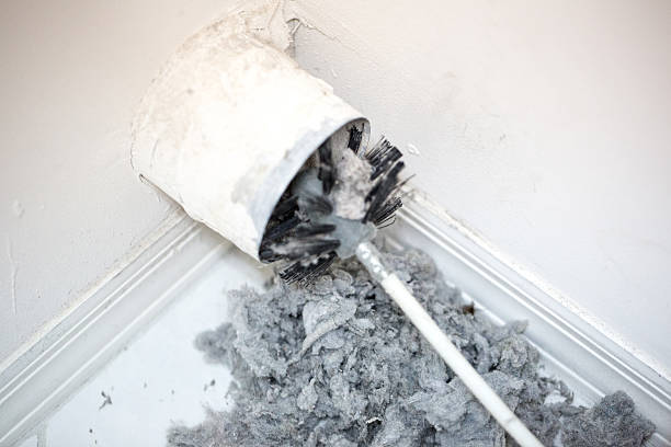 Best Affordable HVAC Duct Cleaning  in Evergreen, AL